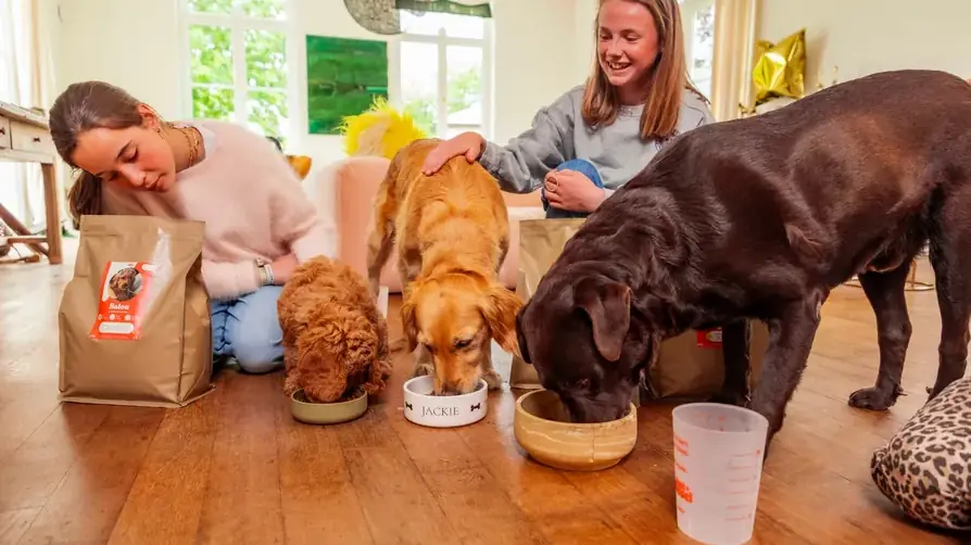Trois chiens mangeant chacun dans sa gamelle, à côté de leurs sacs Just Russel nominatifs