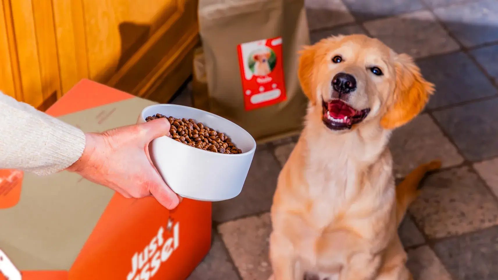 Chiot golden retriever recevant sa gamelle devant son sac Just Russel personnalisé et son carton de livraison